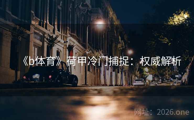 《b体育》荷甲冷门捕捉：权威解析  第2张