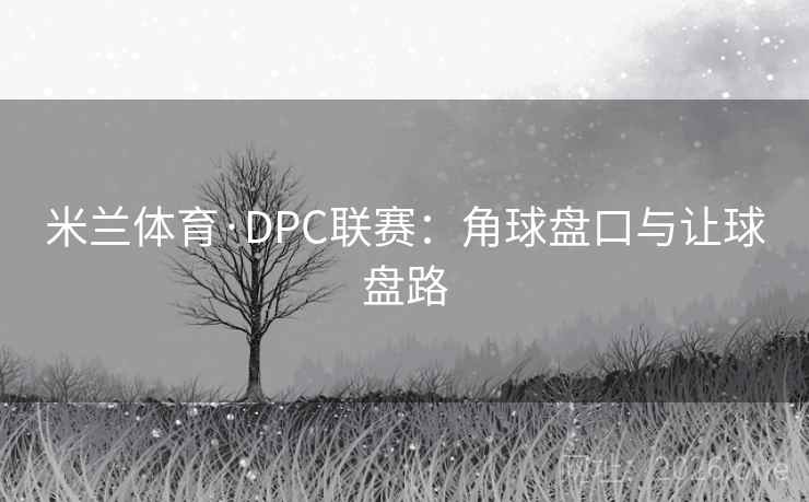 米兰体育·DPC联赛:角球盘口与让球盘路 第2张 米兰体育·DPC联赛:角球盘口与让球盘路 第2张