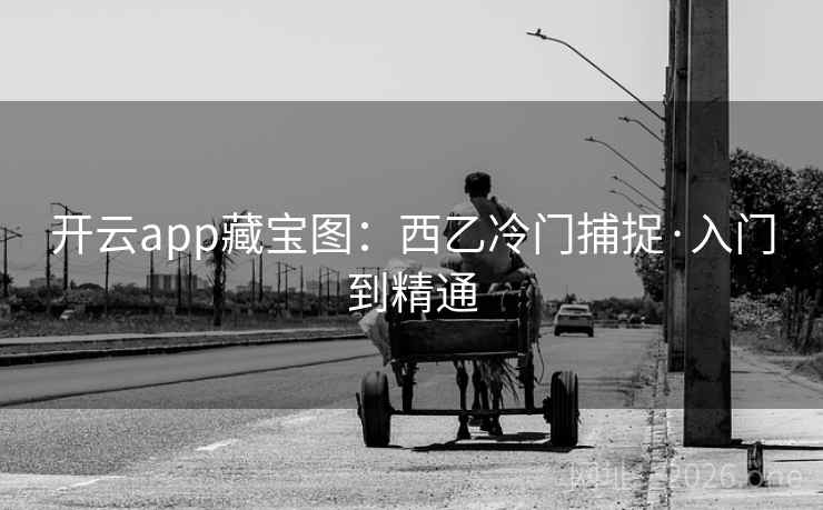 开云app藏宝图:西乙冷门捕捉·入门到精通 第2张 开云app藏宝图:西乙冷门捕捉·入门到精通 第2张