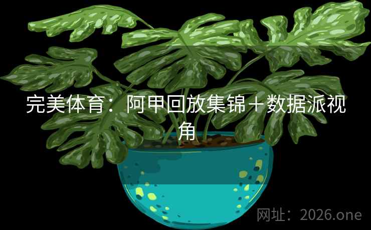 完美体育：阿甲回放集锦＋数据派视角  第2张