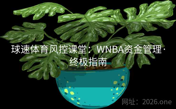 球速体育风控课堂:WNBA资金管理·终极指南 第2张 球速体育风控课堂:WNBA资金管理·终极指南 第2张